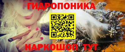 дживик Бийск