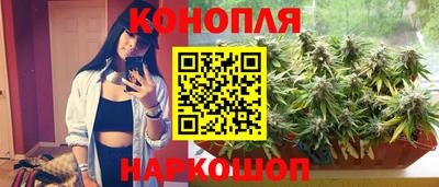 дживик Бийск