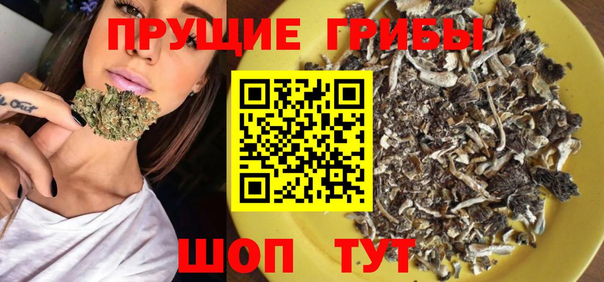 Златоуст  Галлюциногенные грибы MAGIC MUSHROOMS  Псилоцибиновые грибы Cubensis  Вход с VPN 